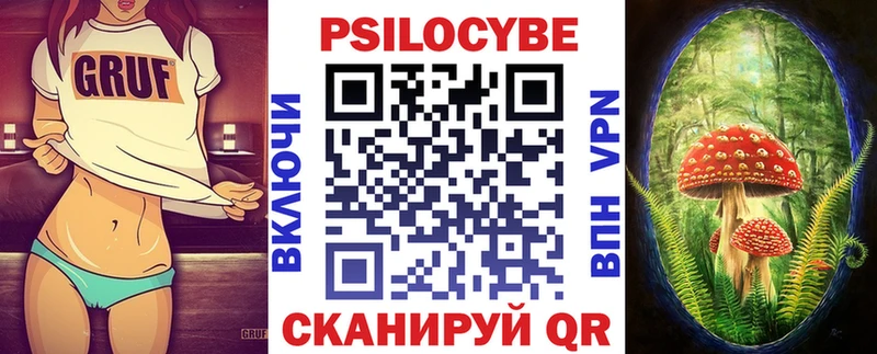 дарнет шоп  Заинск  Галлюциногенные грибы Psilocybine cubensis 