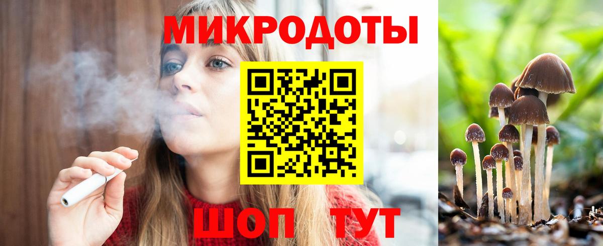 Псилоцибиновые грибы мицелий Заинск